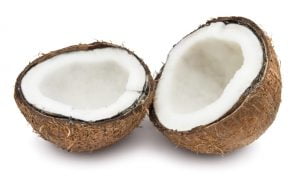 kokosnöt