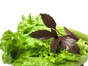 lettuce and basil