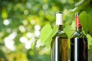 Två flaskor vin framför växande vinrankor