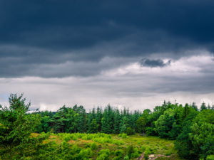 Grönt sommarlandskap med mörka moln